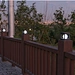 solar garden light